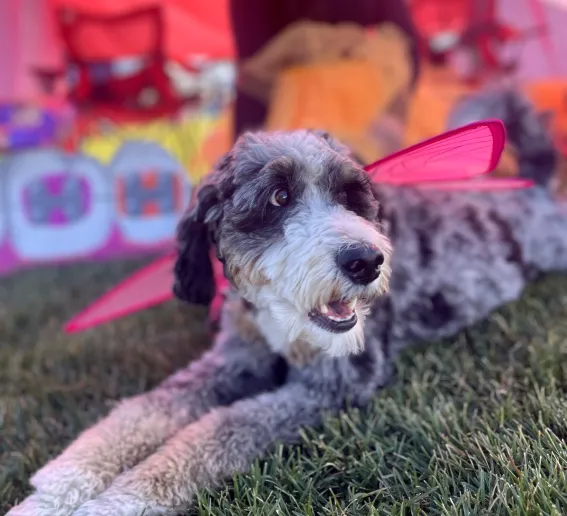 [practice_name] team activity photo